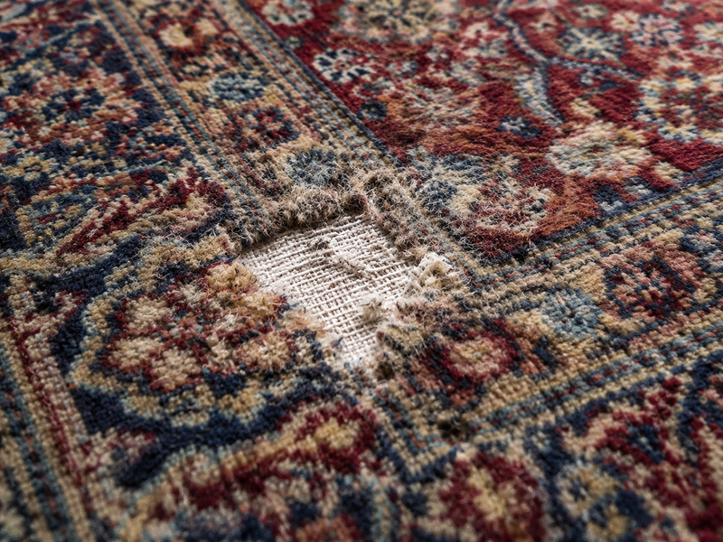 Expert Carpet Repair - Before